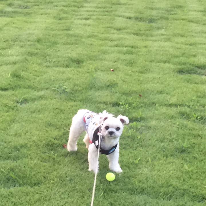 B8437177 0c25 494d a1c3 6bba5de47eff