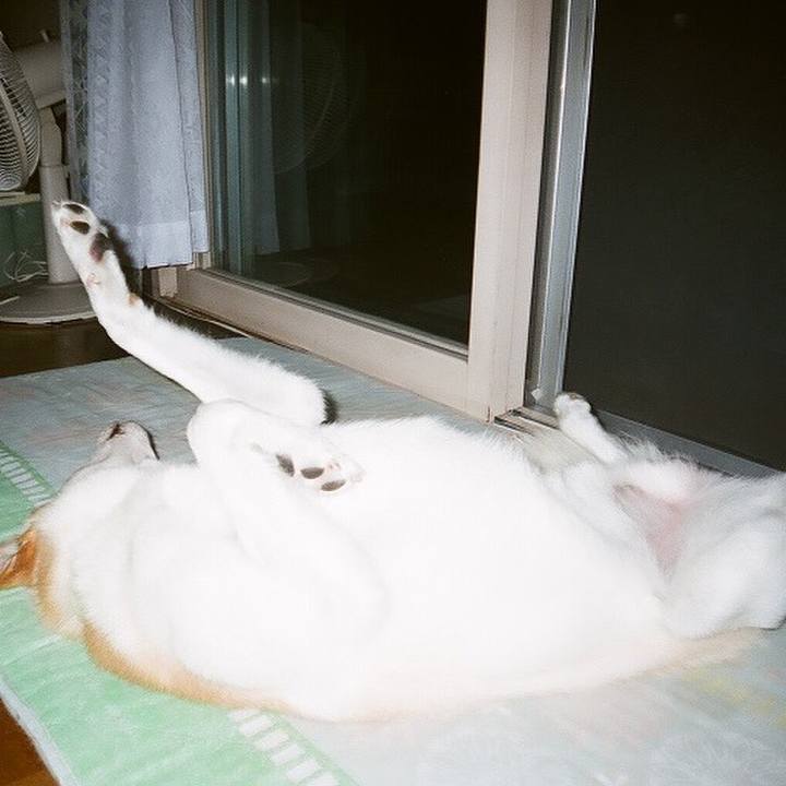 B843f8e2 080f 4e29 9494 1e5f538d67dc