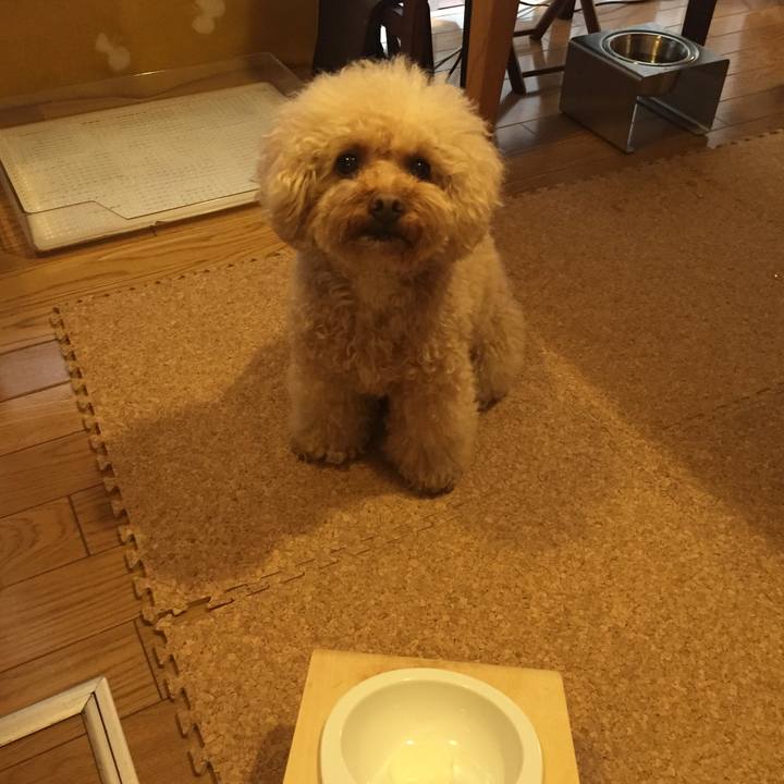 B844add6 8d1b 4edf b23d 2bfbdd3df35d