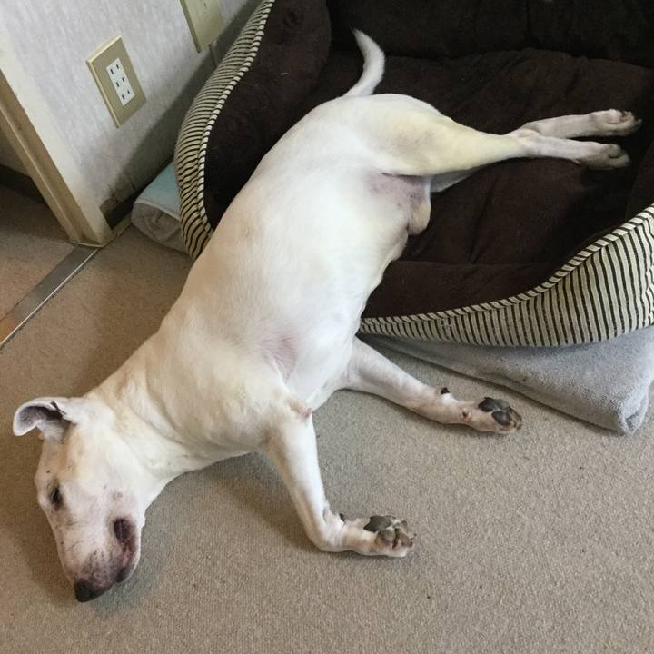 B845157d ac01 4983 b91d ba9332b83024