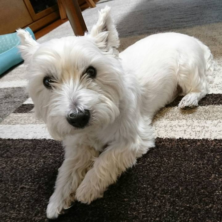 B84524cd a9a1 49c8 8cc4 9d0bb4a66833