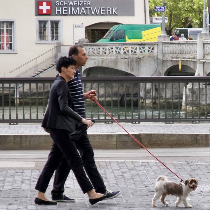 B8455893 775b 41be a55f 2fcebaaac0a8