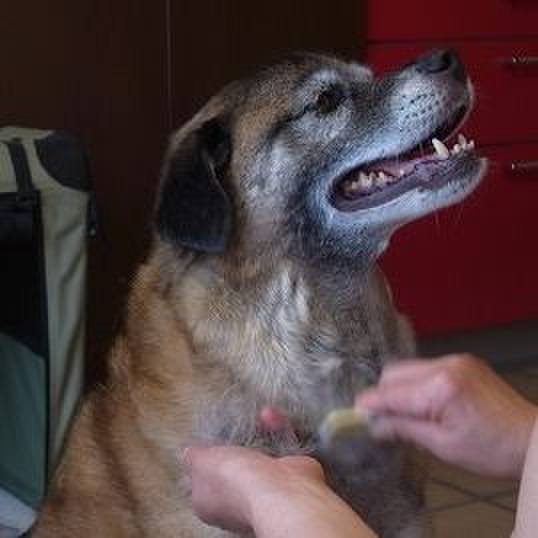 B845fd46 dd42 4797 b785 704ad9c62522