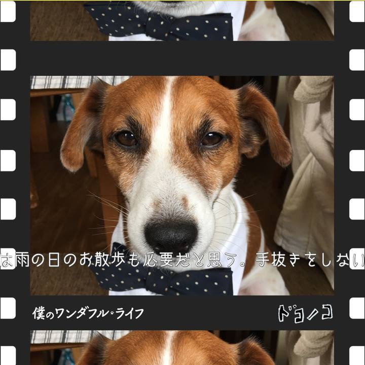 B8465987 8571 46fa 9e08 6aede3caf9c0