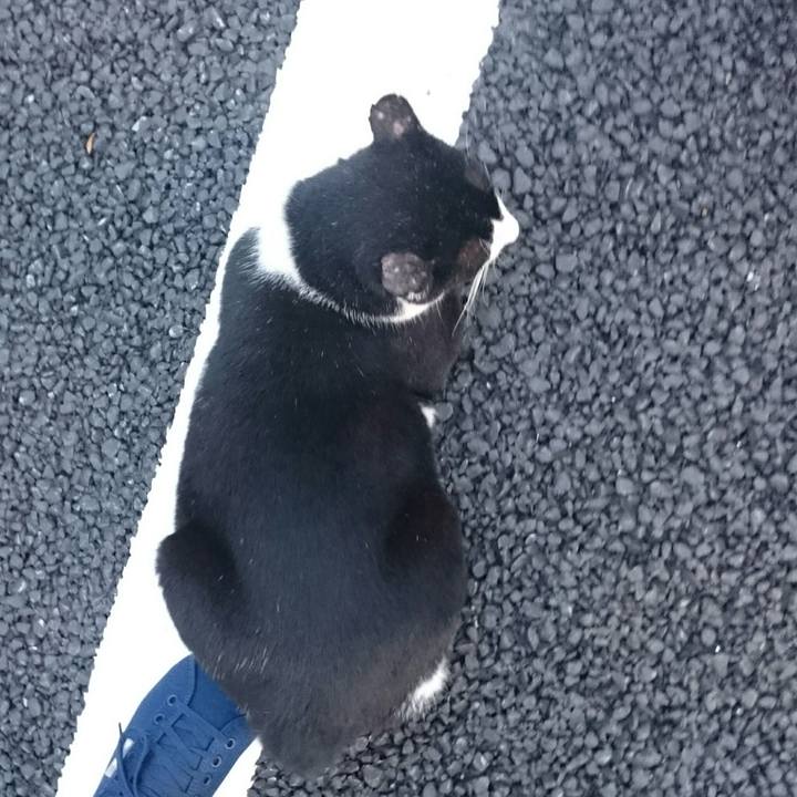 B846b9fd d7e8 43b6 af1a 82619a163700