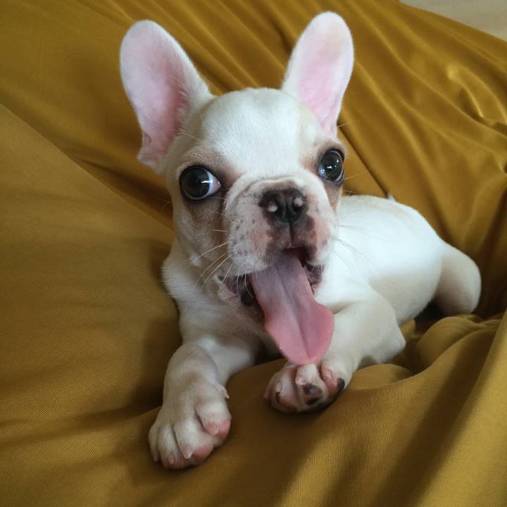 B846f172 975a 4956 9843 a1c57bec28ce