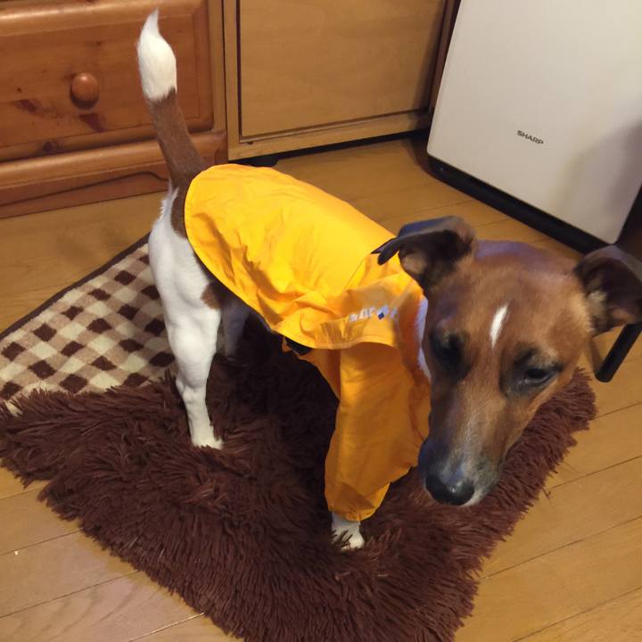 B847341b 788e 4603 8e0a 7040350b8517