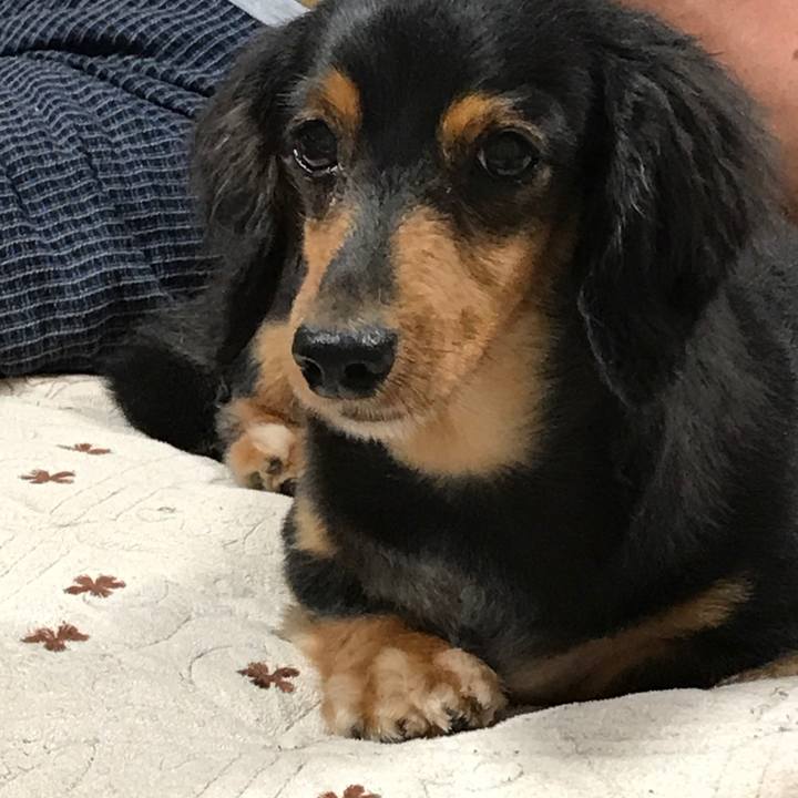 B8477045 e86a 4ca7 aa86 1dcdce9ce2be