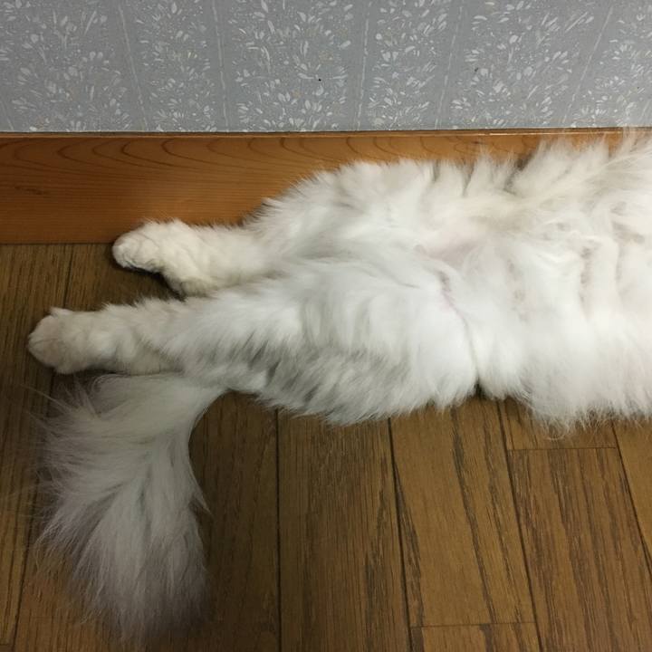 B847a8a8 b089 45c4 a753 dfb27e358653