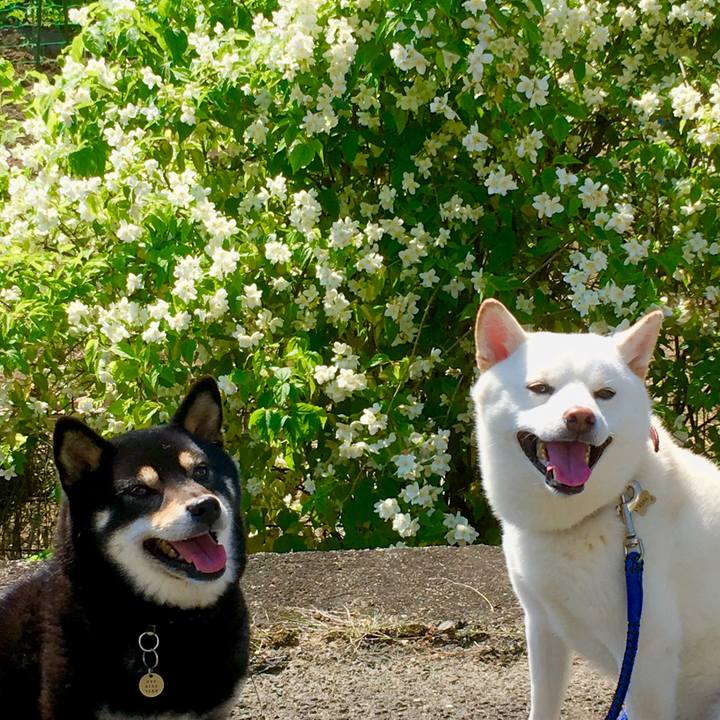 B847b361 964f 4dbe bc6e e3b999ffbe45