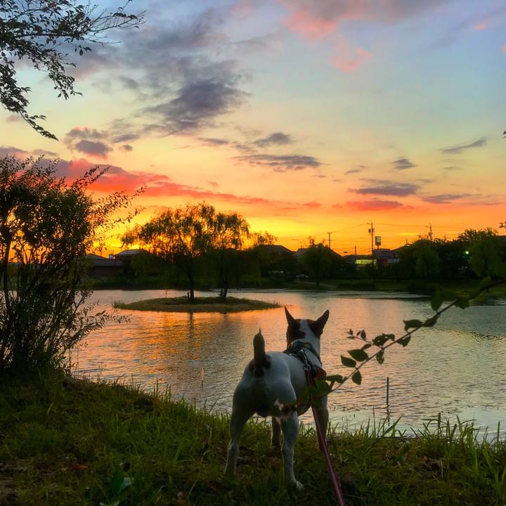 B848cf17 621e 45f2 9f12 c3ea3e064e7f