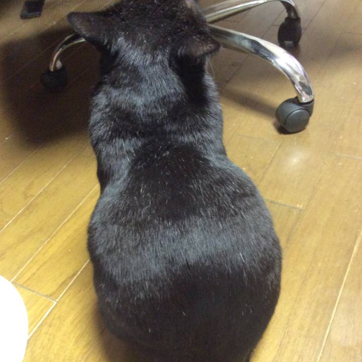 B8490c6d 1c94 4e56 a538 b7d9f4bc7efe