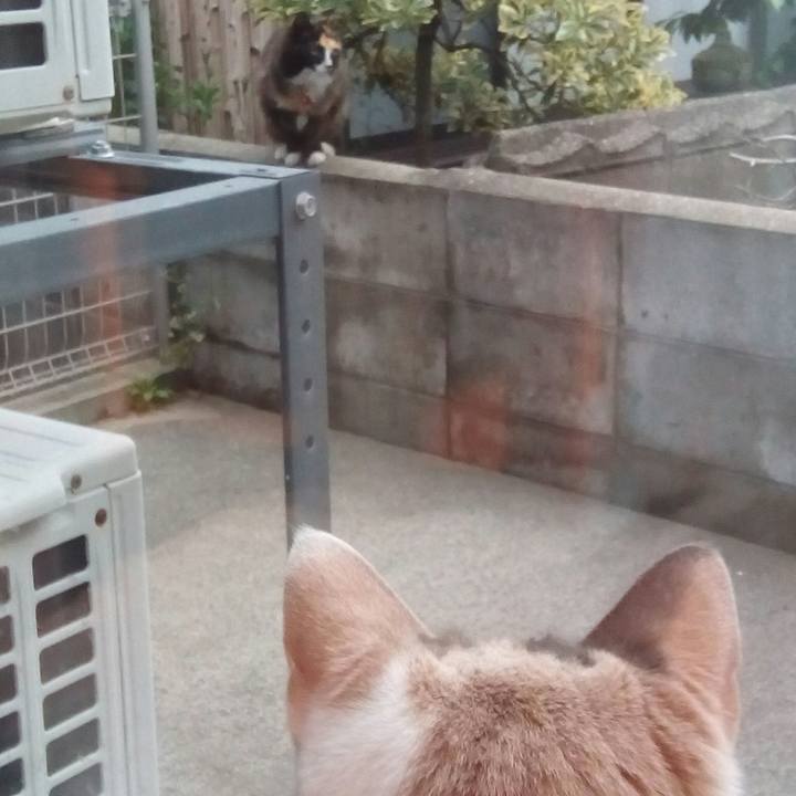 B84955f1 db4d 4a16 8aec 270afb760e52