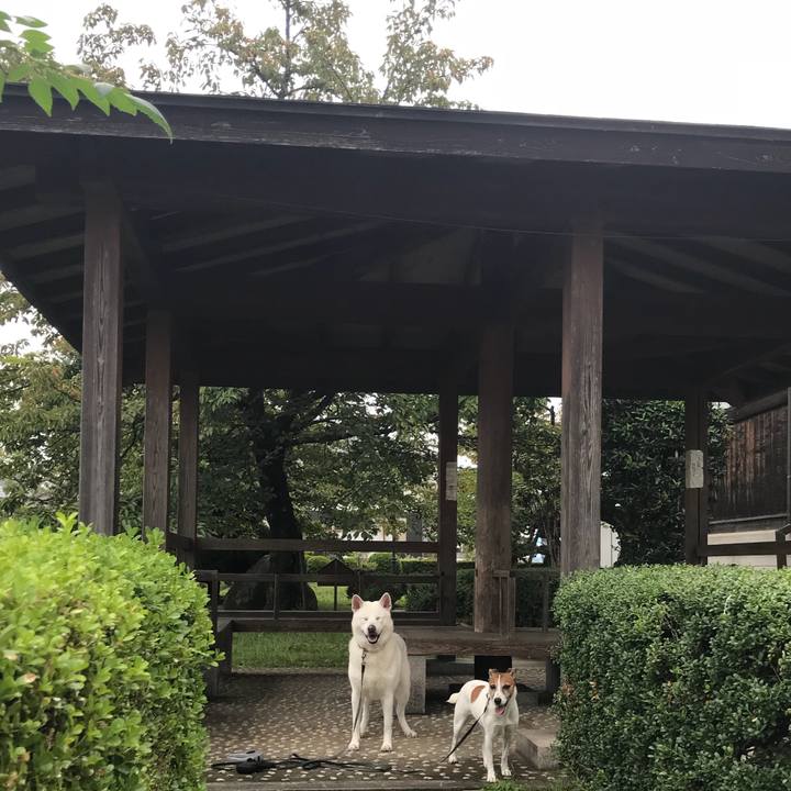 B84a2825 6691 4d29 80ba fd45297fcd4c