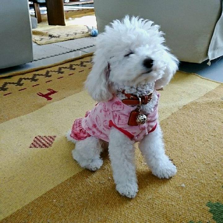 B84a74a2 c804 4e8d 878b ad02a748316c