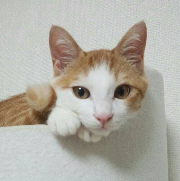 B84b0f01 3fd6 49eb bcb5 3c4a209b9e98