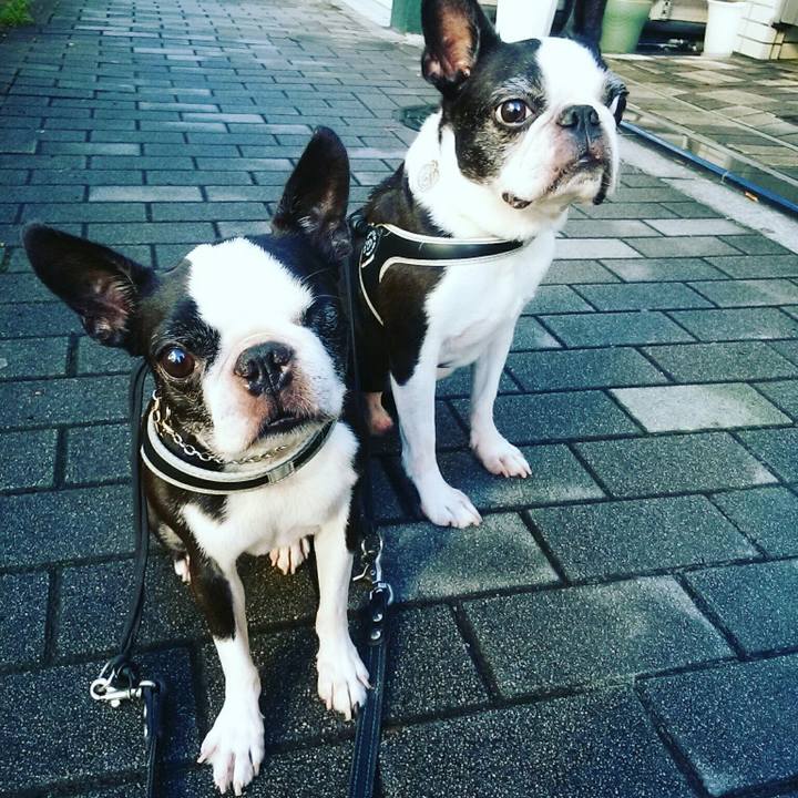 B84b85bf 1fed 4ed8 b74e d96b000cf221