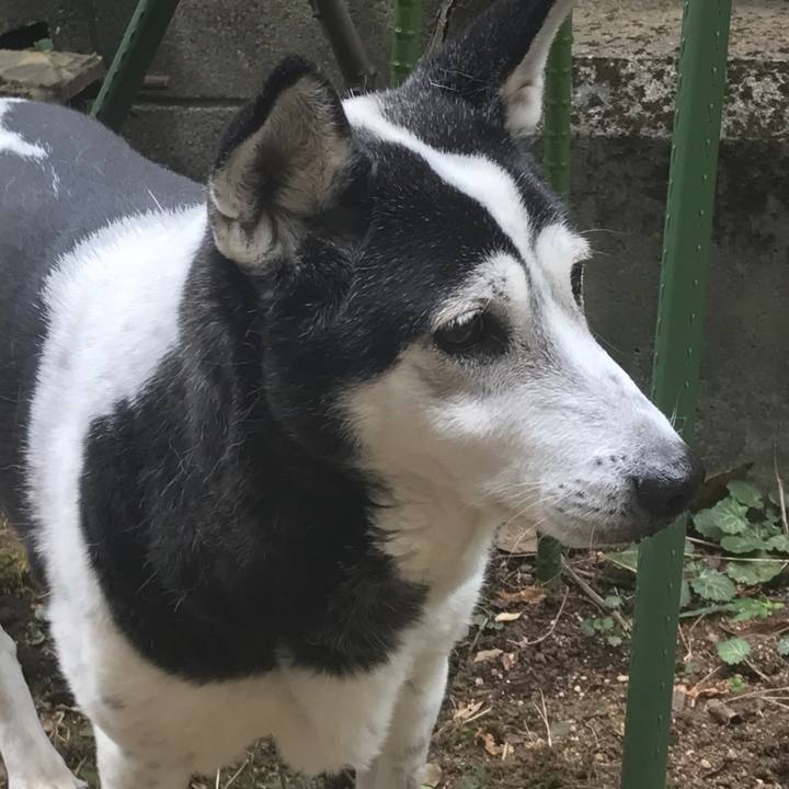 B84bc581 2943 4c5c 9b2a 29b2eadcc647