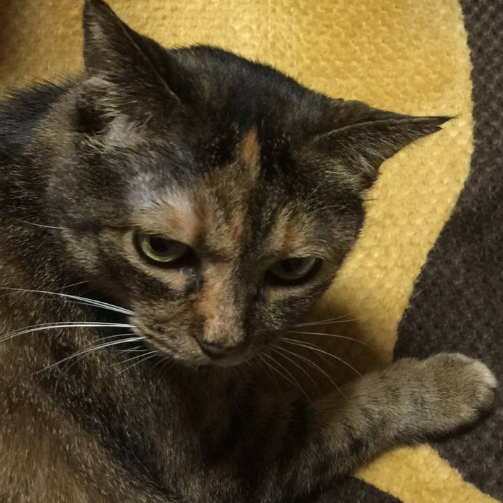 B84c3229 dec1 4370 9e58 babe41ef94ba