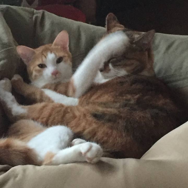 B84ca6cc e539 42c2 9825 4f042d0874f6