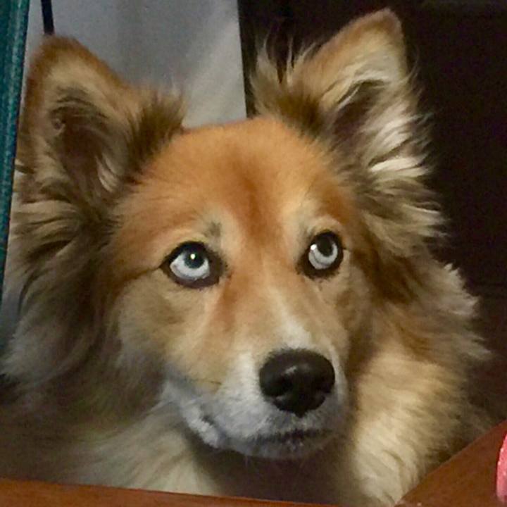 B84ca6ff 2f27 45a7 8833 7575cc946315