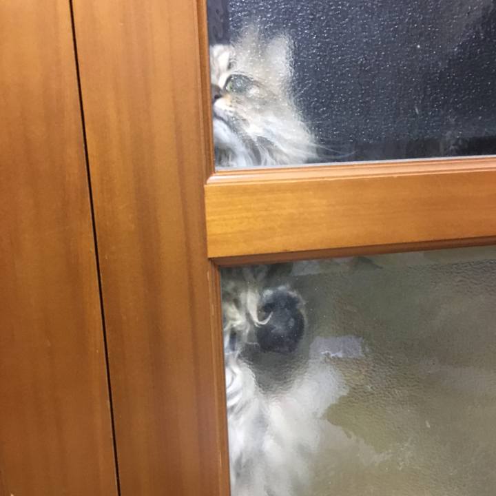 B84cf2d1 20f4 45d2 8843 c737510f69b7