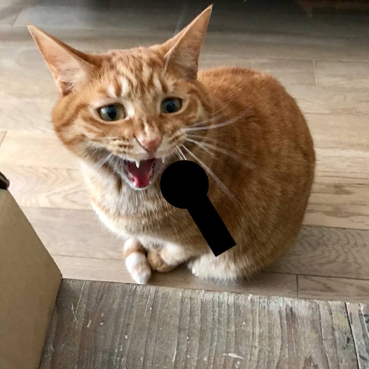 B84d24a6 a1d0 43c3 82f7 7b3c516f3140