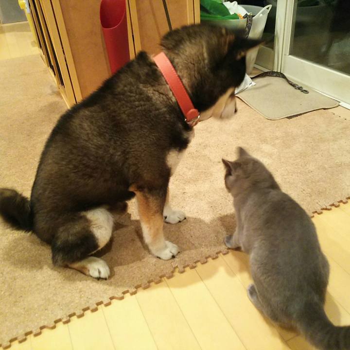 B84d5927 e39f 4062 a204 7eec9de7851c