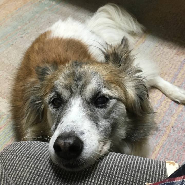 B84d891f 89e6 4850 9132 db86c6f6c2c0