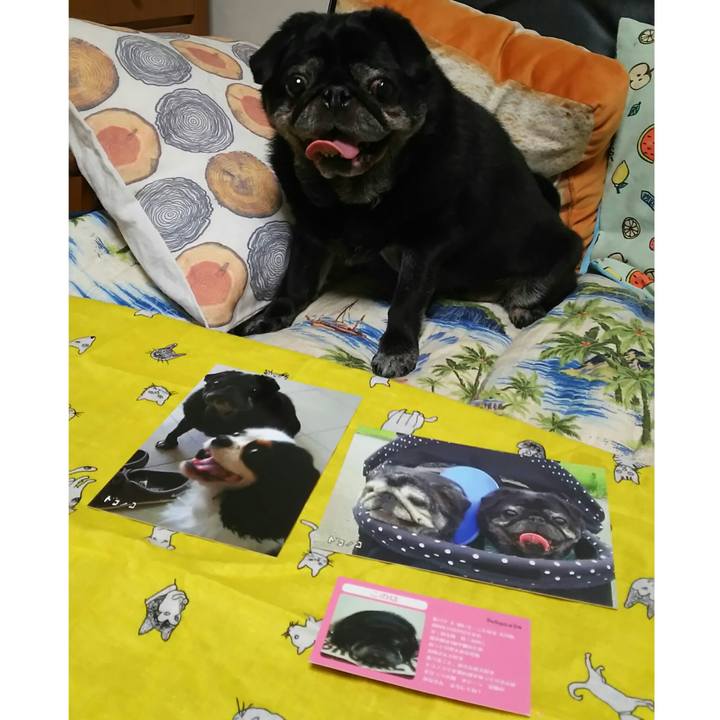 B84e477d 9e00 4ce3 9240 7fd1f686ad9b