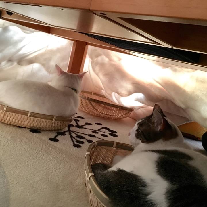 B84e5cb5 9fc0 4aab af90 e0dcc95fd4a9