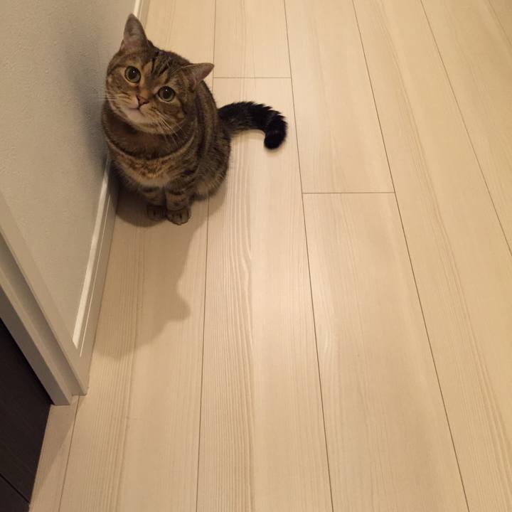 B84e6682 548d 43dc 9702 ab46290d7e4c