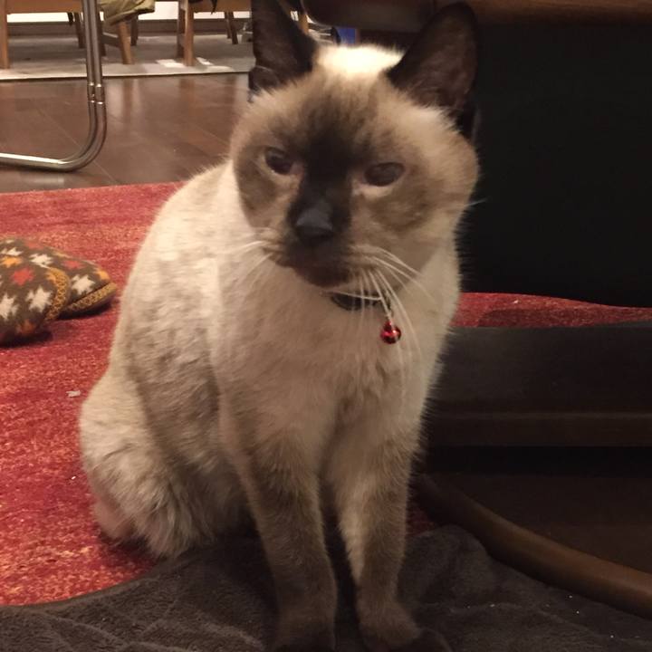 B84ea195 d8f8 4e31 8755 82f3a9018b78