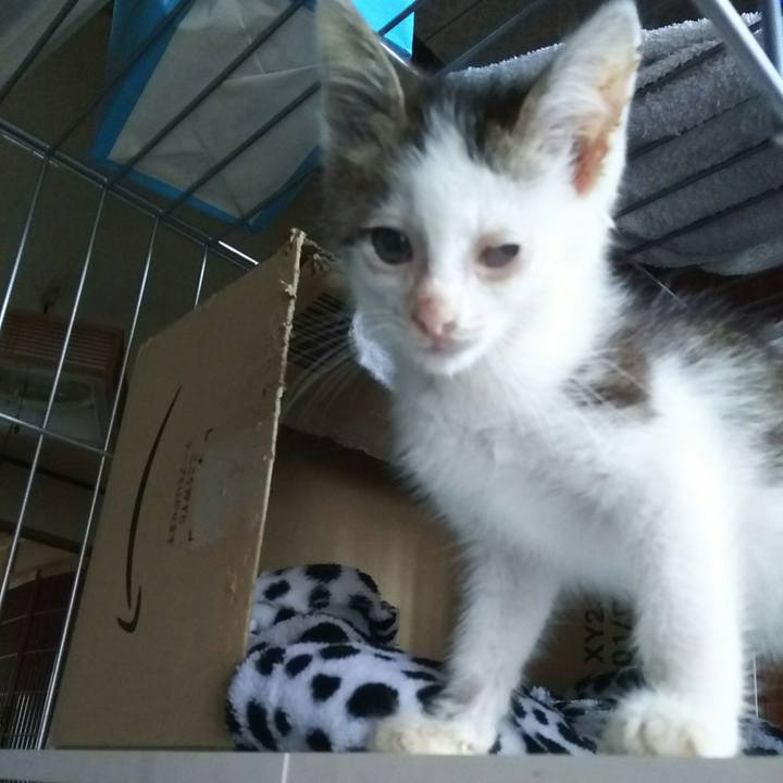 B84eeee7 762d 4c44 be9b 43d1f7cec899