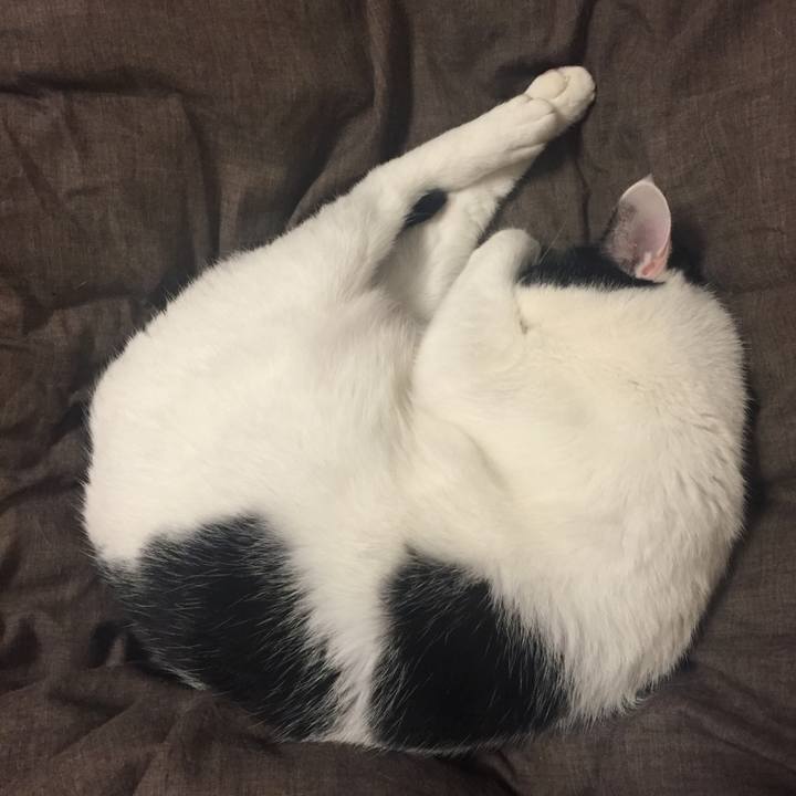 B84f02f8 25a9 4baa af41 57de59421a1c