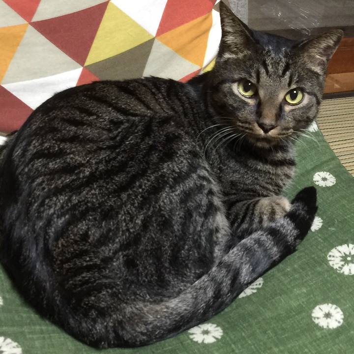 B84f71c2 20ff 42ca 9182 774b3f5bf19b