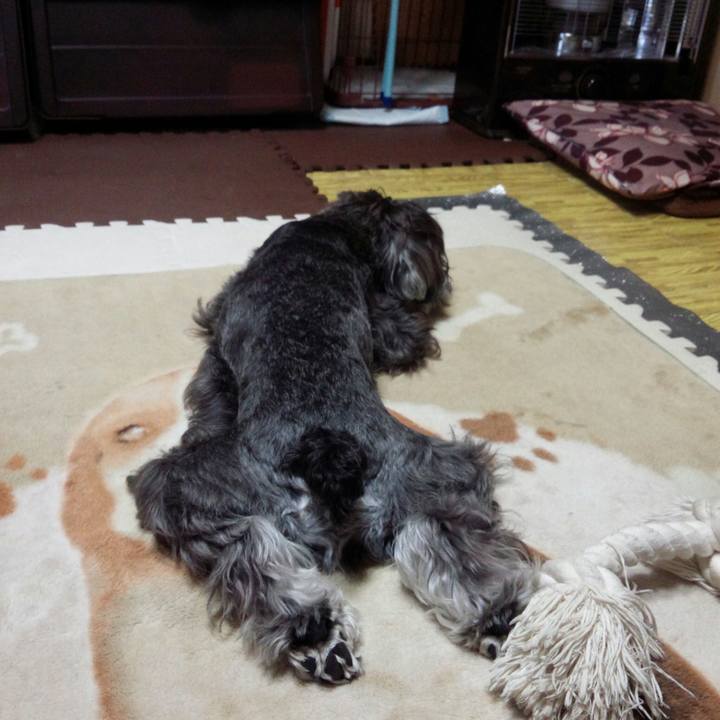 B84f7352 b321 49fe b4ca fa582301328c