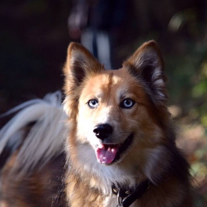 B84f78c6 8420 451e ac97 fc3805d21d3e