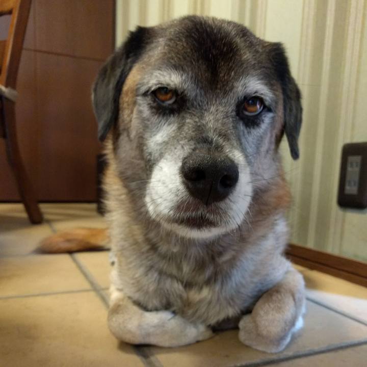 B84fa00e 8e61 4500 99f9 cf608b3fa0d4