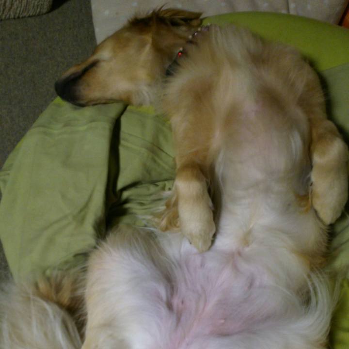 B8500c1a 0f8b 4495 9771 46f3a8ac3383