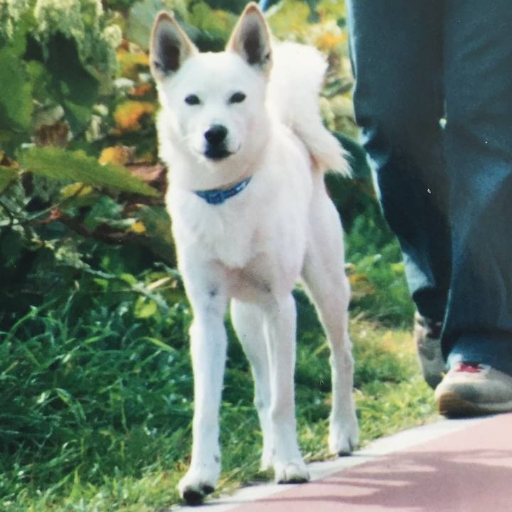 B85048b9 aa6c 4bb0 b329 f847543babca