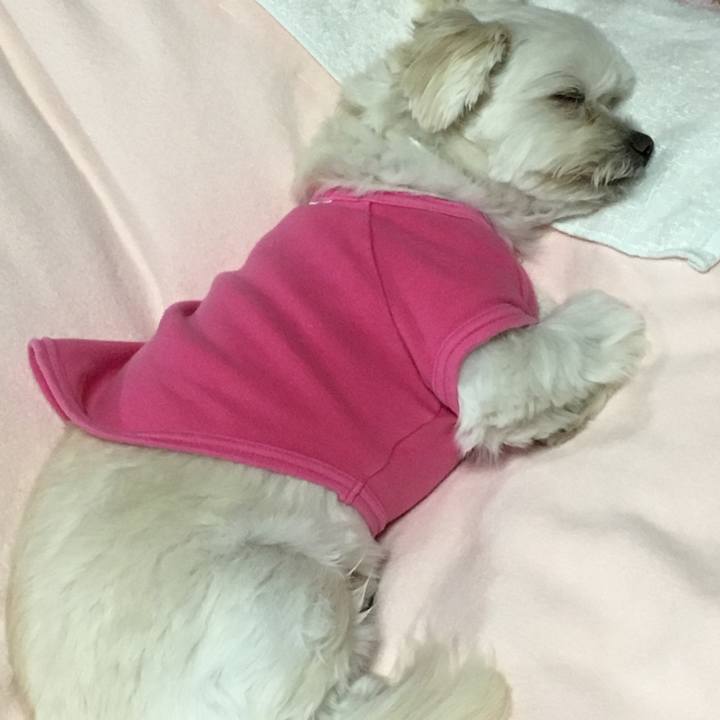 B8505fd9 2a40 4552 831c 07c3955d3415