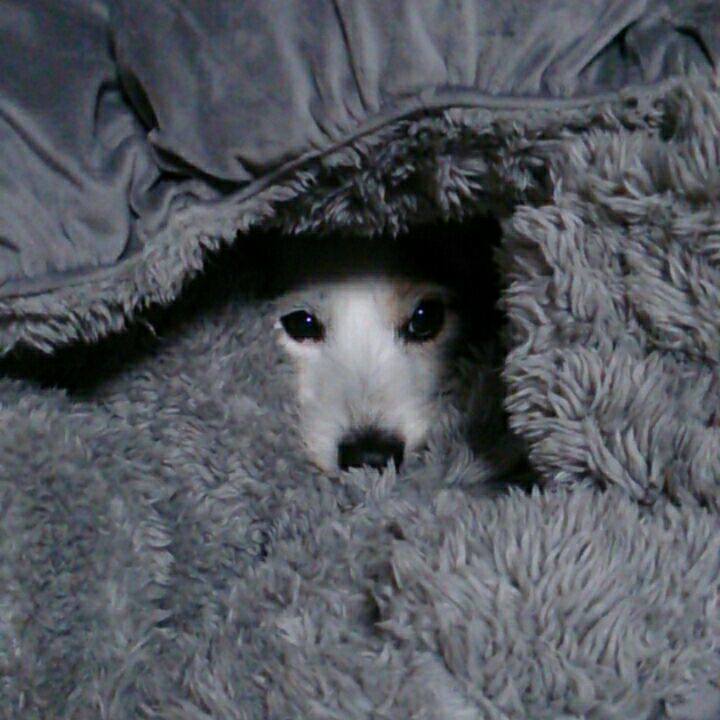 B85083e8 b414 4a61 85a4 efe901ee2eff