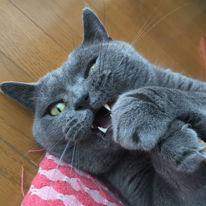 B850ae69 2ee3 4b95 a1a5 046f5520a80f