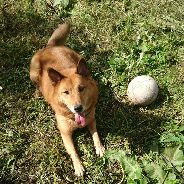 B8519493 9e9e 4291 ad43 4bb431f7016d