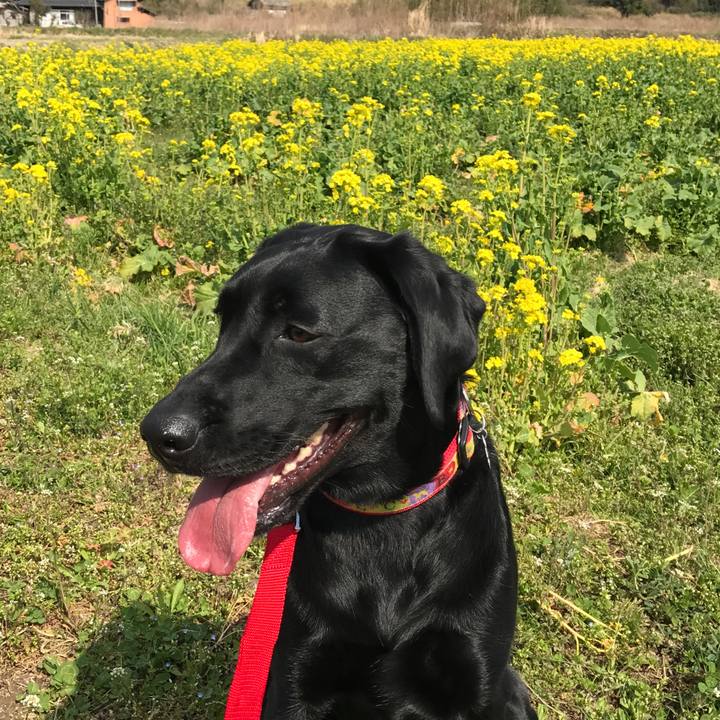 B851bb12 2062 4b61 a67d bcb848b3d32e