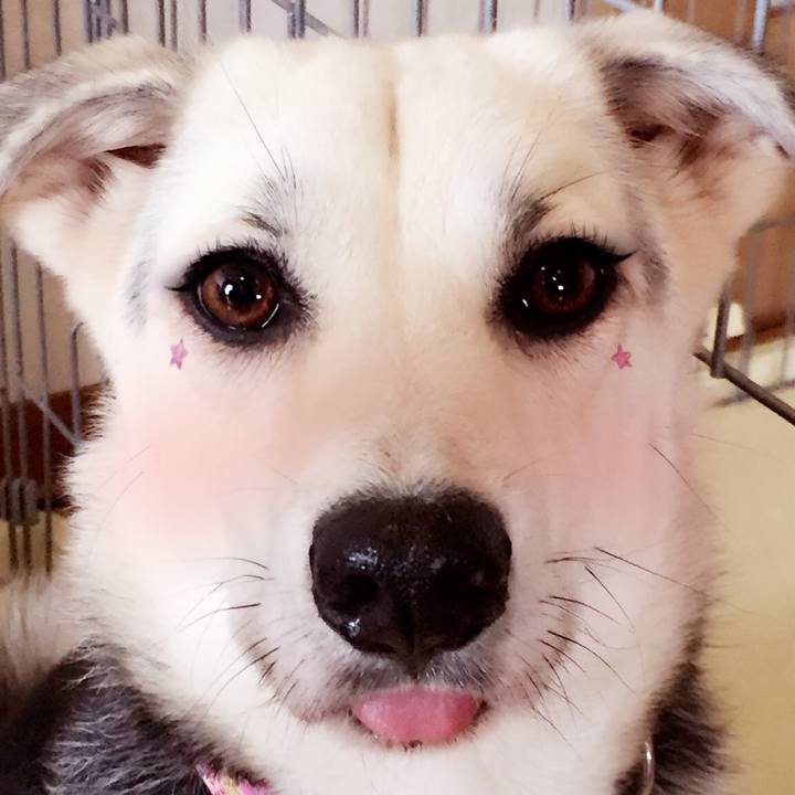 B8520392 9584 47c7 9f10 53236d986ae7