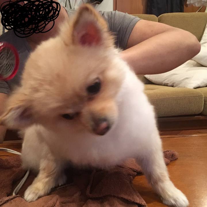 B8520cd2 7b07 4a01 ae27 5d6f9fef2321