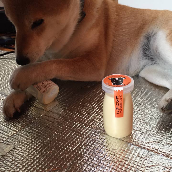 B85267cf 96ec 4ed6 9920 051291680051