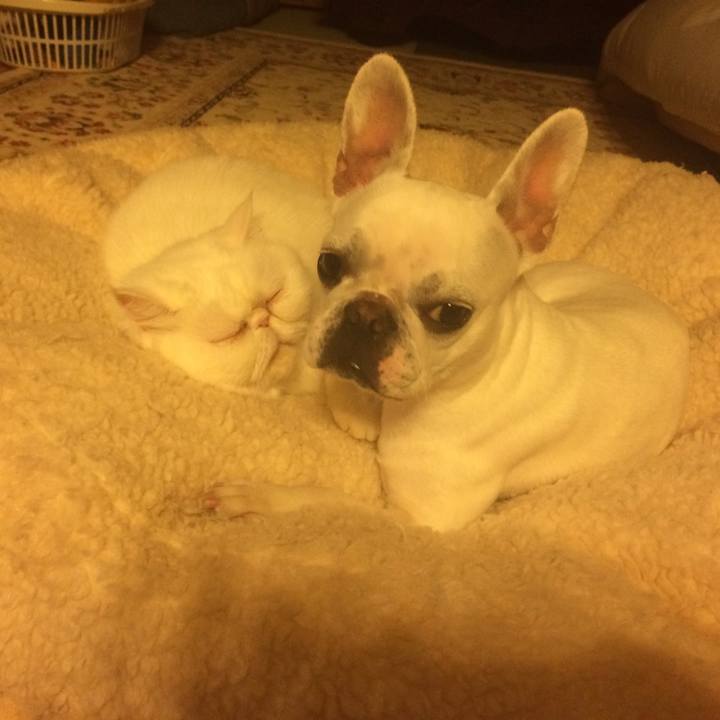 B852c0c8 5da0 4113 b0b1 c4450c750ad2